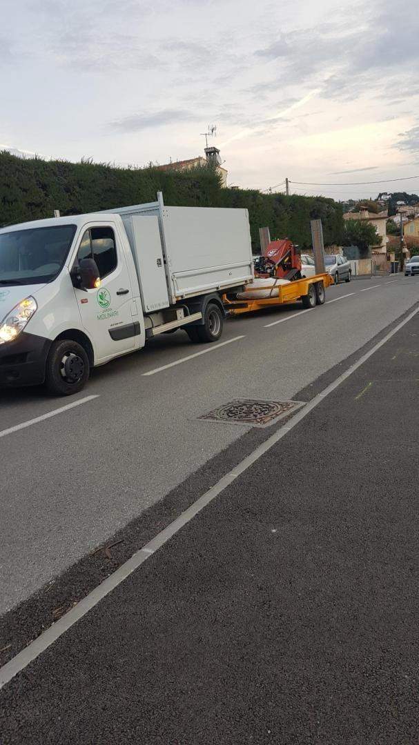 Transplantation d'arbres Nice