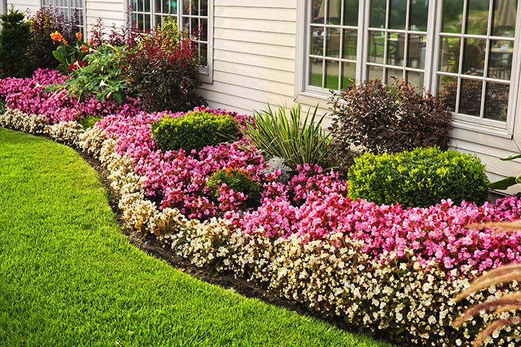 Entretien jardin Nice