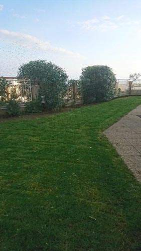 Aménagement de jardin Nice