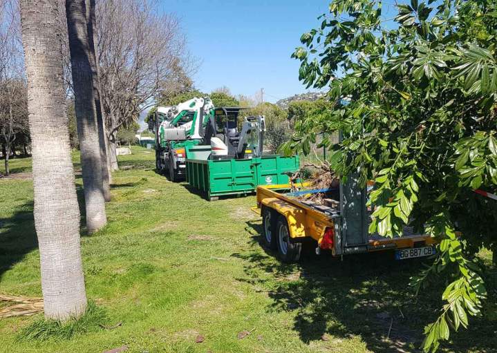 Arrachage de souche d'arbre Nice