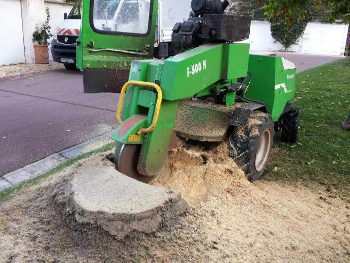 Extraction de souche Nice