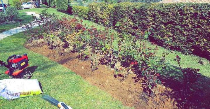 Création de jardin Nice