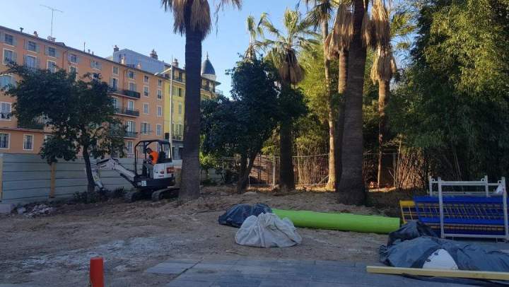 Dessouchage arbres Nice