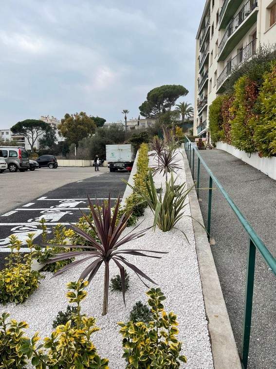 Agencement du jardin Nice