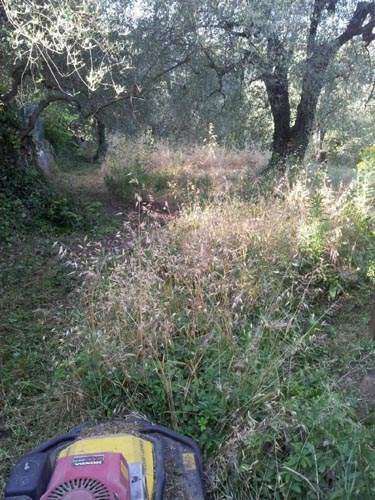 Nettoyage de terrain Nice