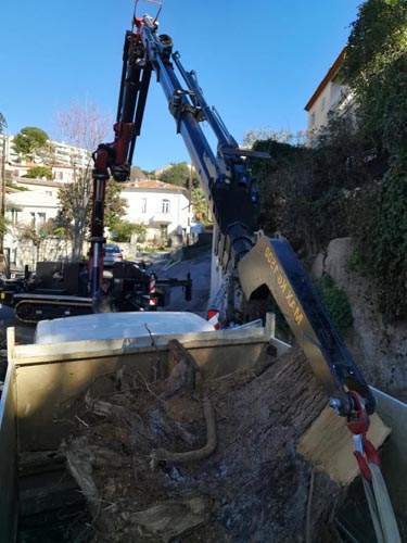 Déplacement d'arbres Nice