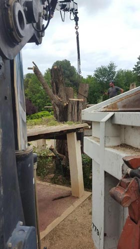Élagage et abattage d’arbres, Beausoleil<br/>Élaguer et abattre des arbres, Beausoleil<br>Travaux d’élagage et d’abattage d’arbres, Beausoleil