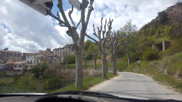Coupe sélective Nice