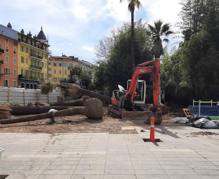 Déraciner arbre Nice