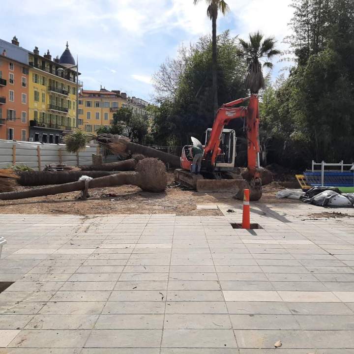 Enlèvement de souche Nice