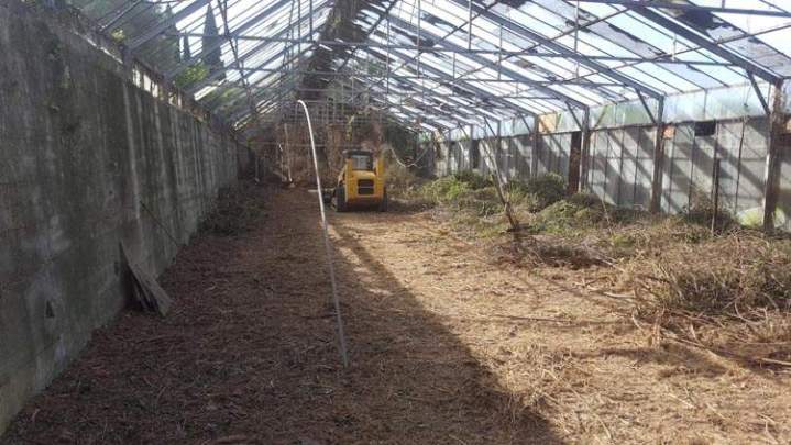 Débroussaillage Nice