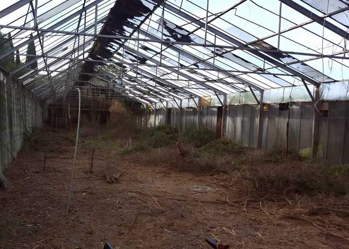 Débroussaillage Nice