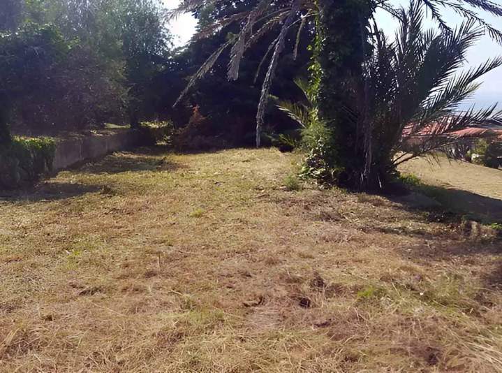 Débroussaillage jardin Nice