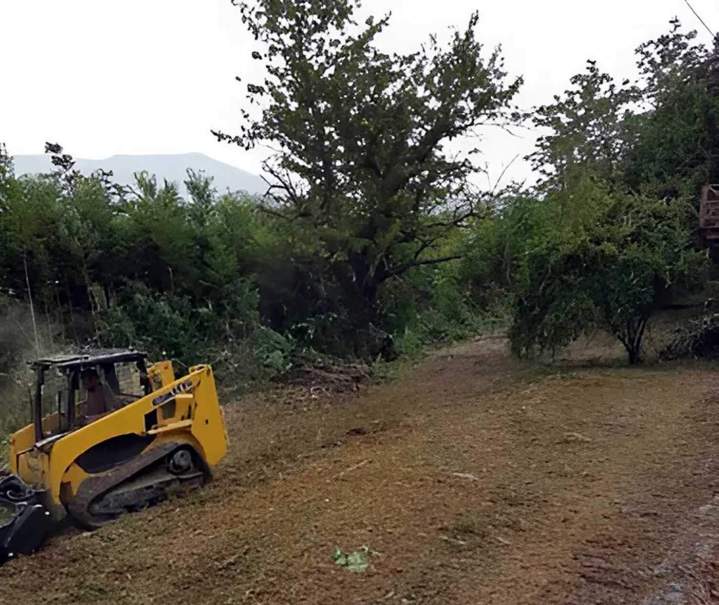 Débroussaillage d'espace vert Nice