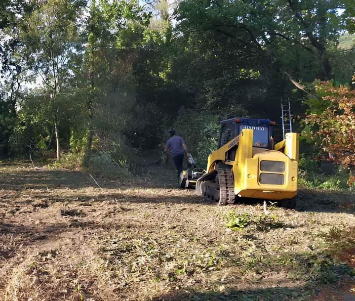 Éclaircissement terrain Nice