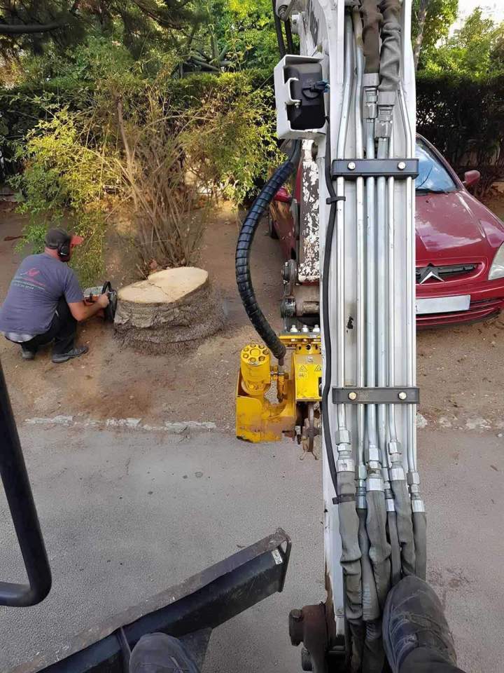 Dessouchage d'arbre Nice