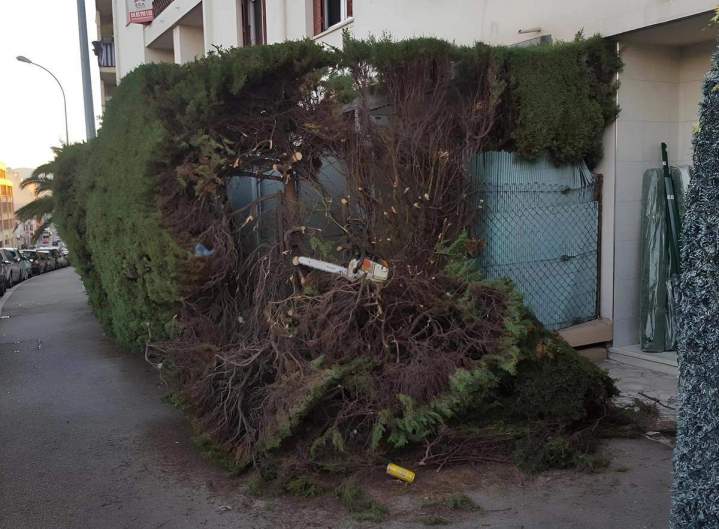 Aménagement paysager Nice