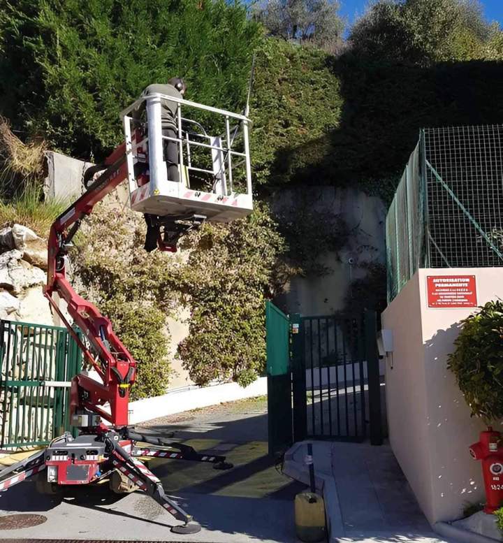 Élagage arboricole Nice