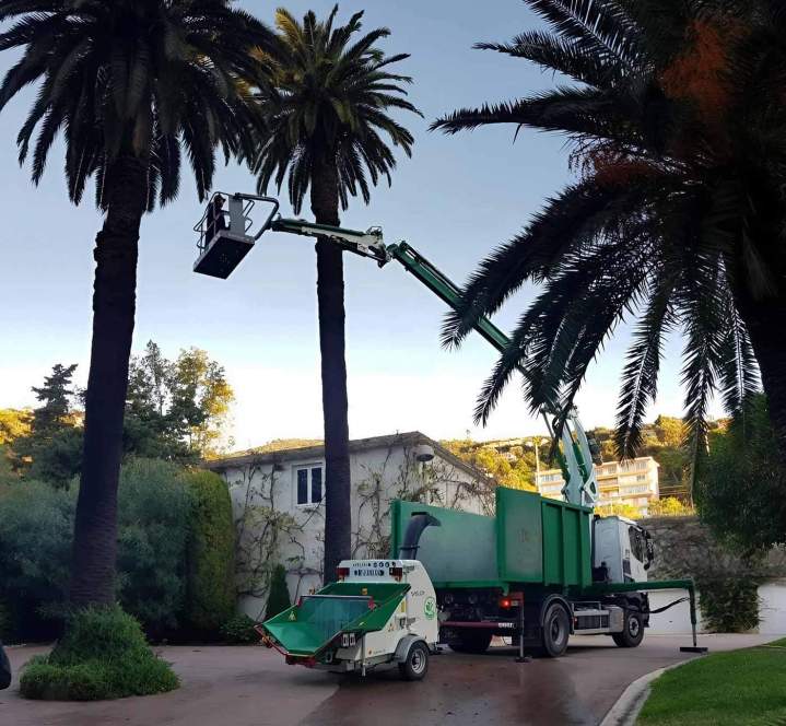 Taille de formation Nice