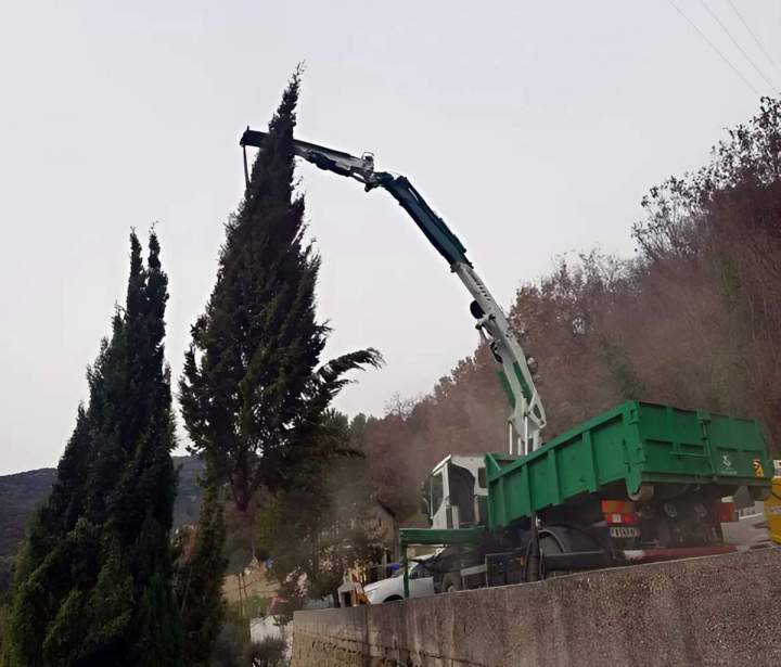 Abattage végétal Nice