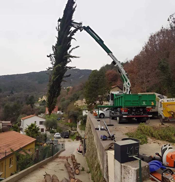 Quels sont les avantages de confier les travaux d'élagage à une entreprise spécialisée ? Nice