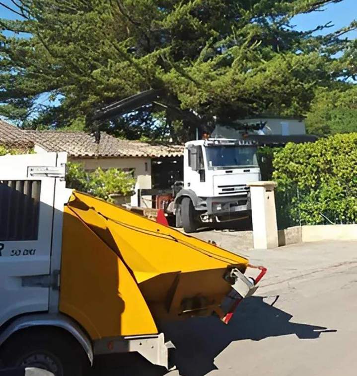 Démontage d'arbres Nice