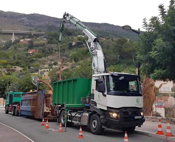 Abattage forestier Nice