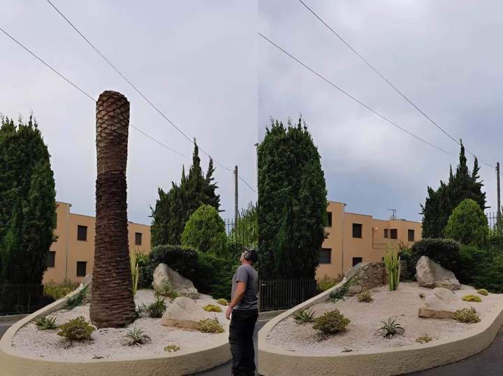 Travaux d’élagage et d’abattage Nice