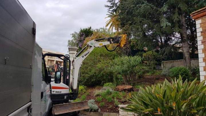 Arrachage de souche Nice