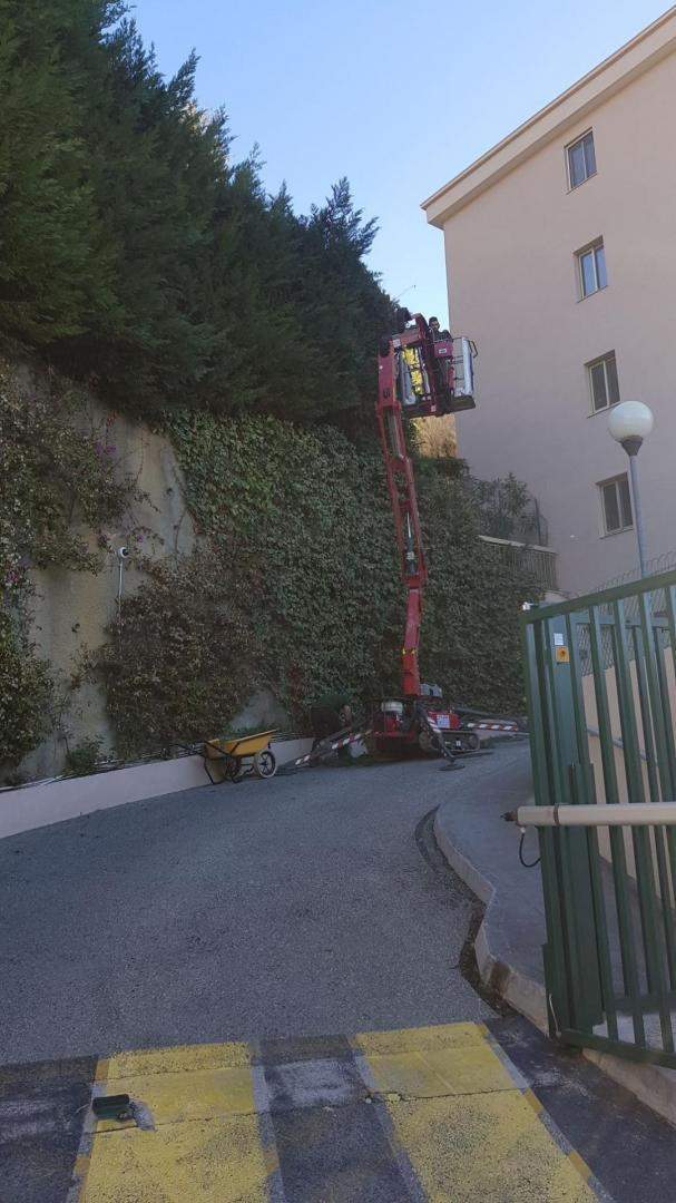 Élagage arbre Nice