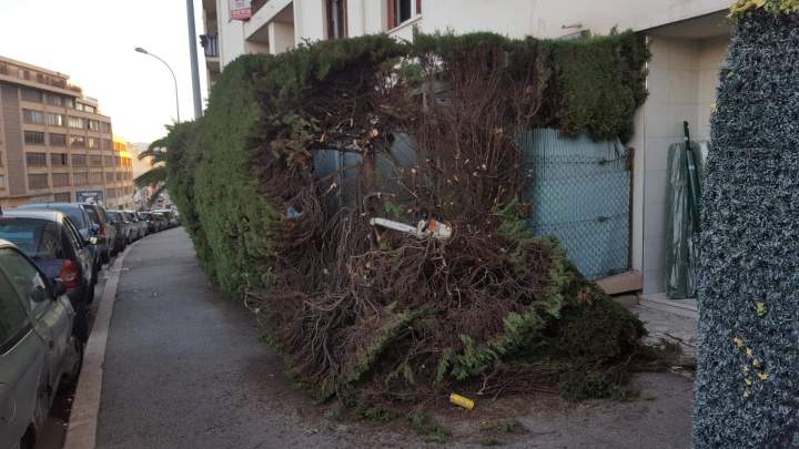 Mise en place du jardin Nice