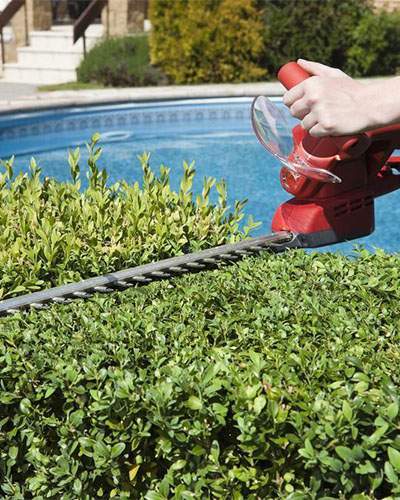 Nous préservons la beauté et la propreté de votre jardin.