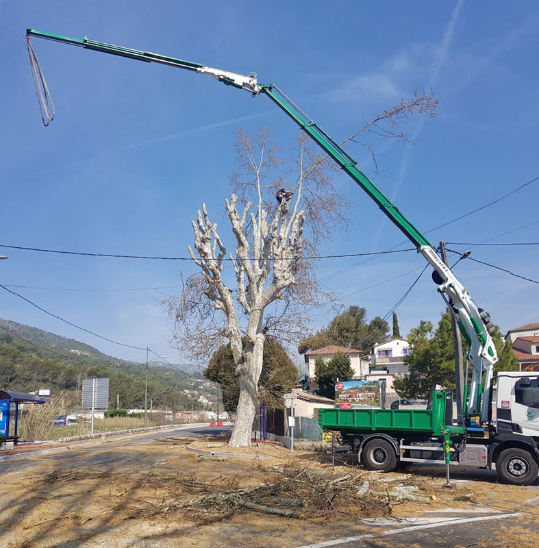 Élagage et abattage d’arbres à Cagnes-sur-Mer