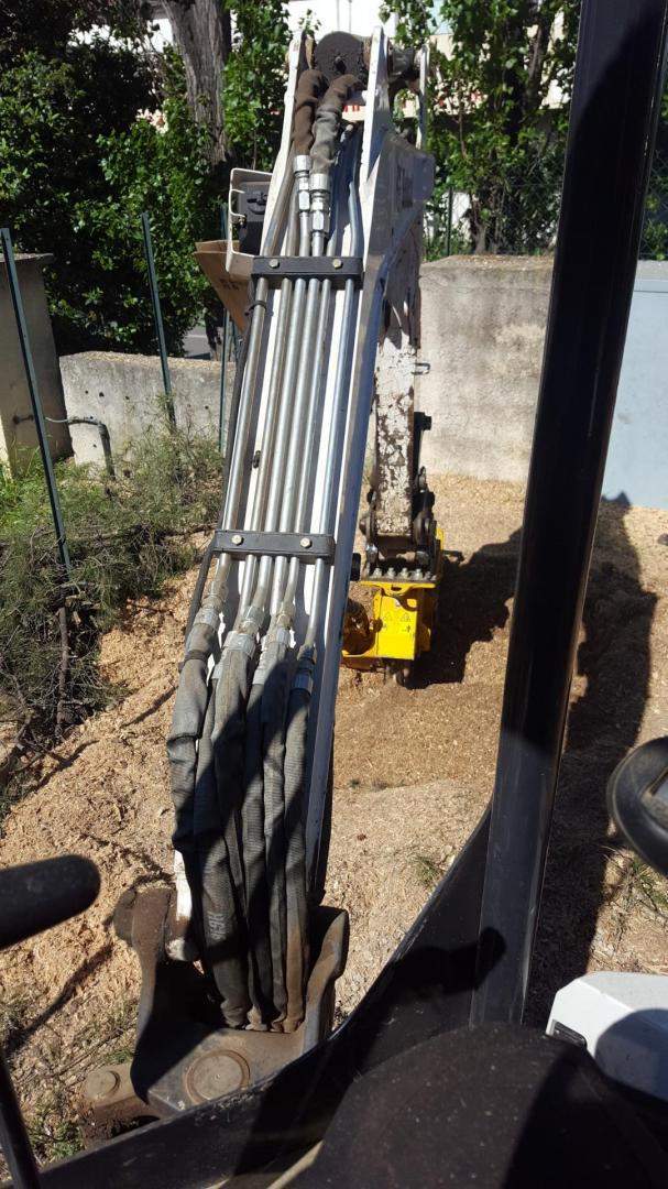 Transfert d'arbres Nice