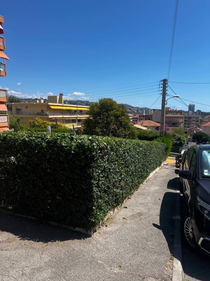 taille haie copropriété