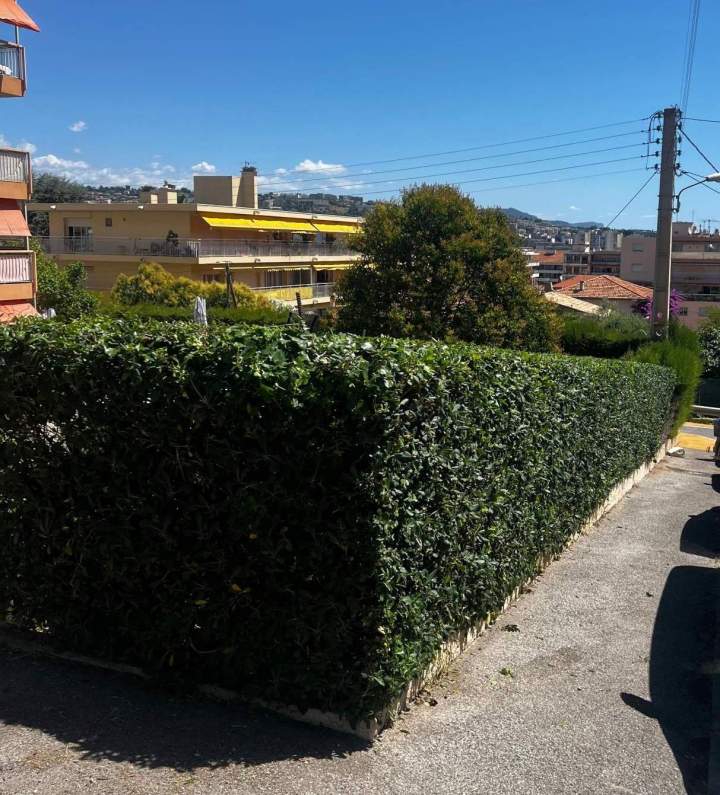 taille haie copropriété