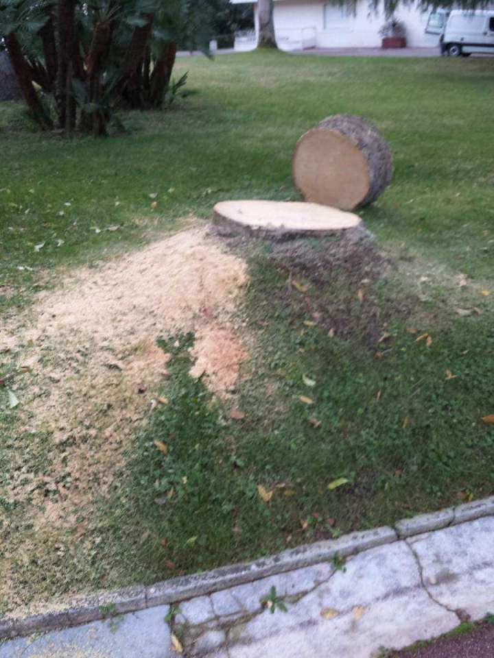 Arrachage de souche Nice