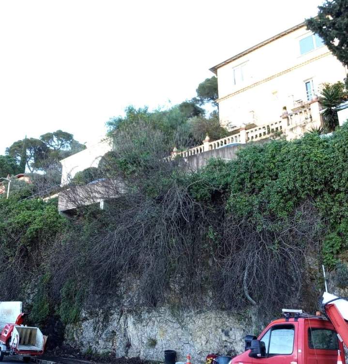 debroussaillage paroi avant