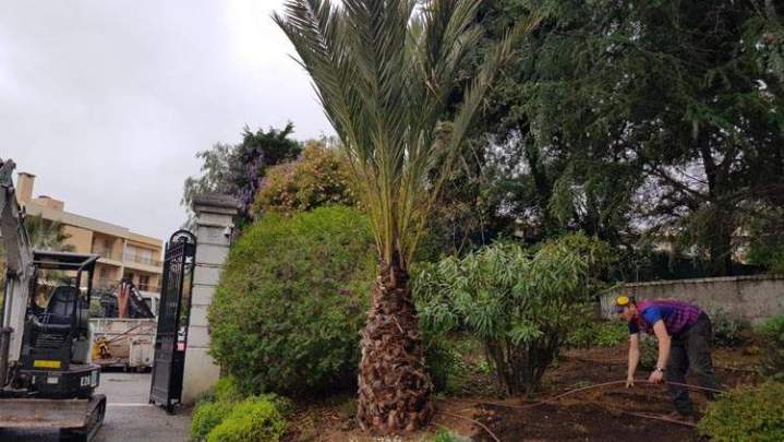 Aménagement paysager Nice