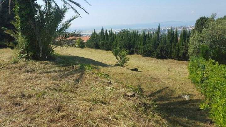 Nettoyage de terrain Nice