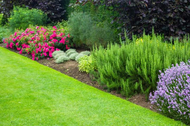 aménagement extérieur devant maison à Nice avec plantes et arbustes