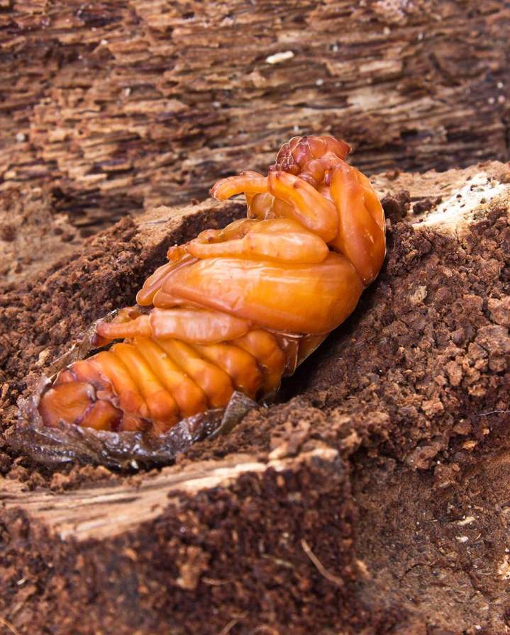 shutterstock 87691129