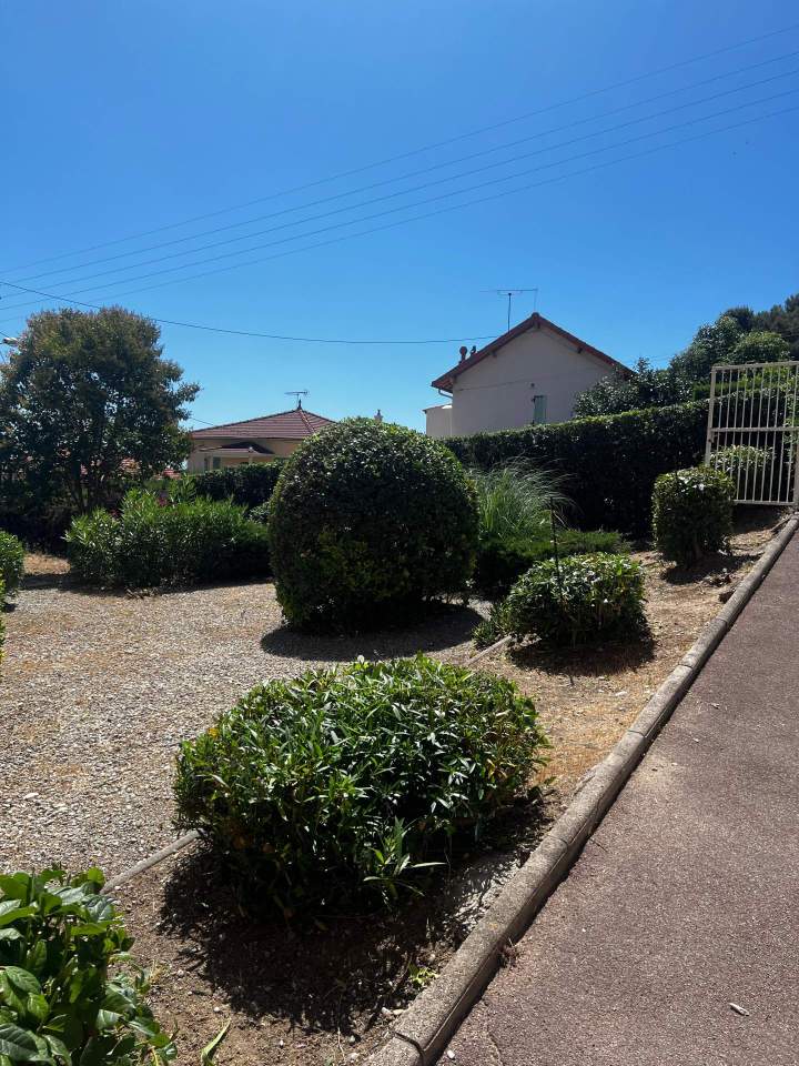 taille des haies et arbustes copropriété - remise au propre